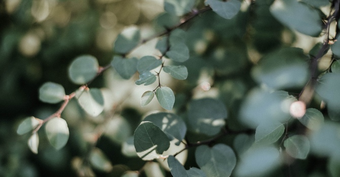 Initial Consultation