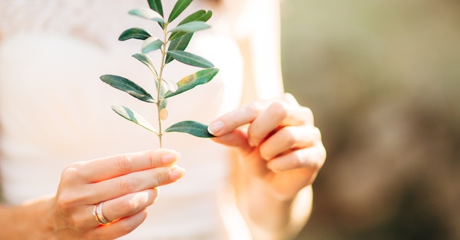 Initial Consultation