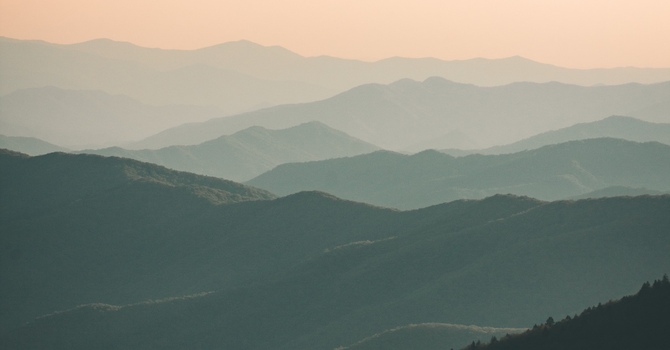 Specialized Psychotherapy